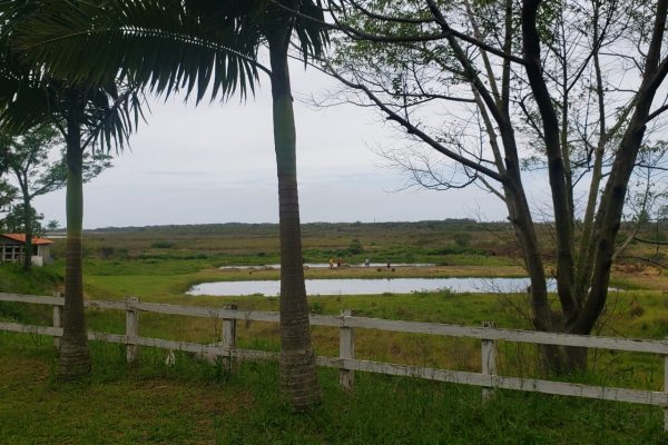 Unidade Balneário Rincão - SC 10