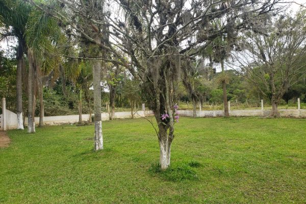 Unidade Balneário Rincão - SC 27